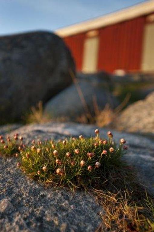 Ah Stifts- & Konferensgard Hotel Ljungskile Kültér fotó